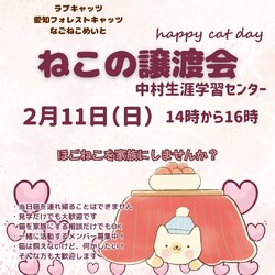 保護猫譲渡会　名古屋市中村区