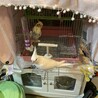 はな
