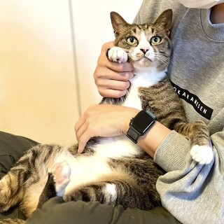 人見知りしない！甘えたあーちやん(オス)