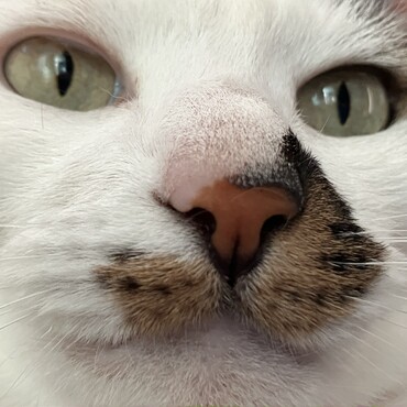 きょうこの写真