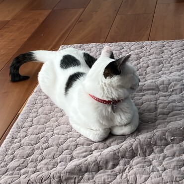 きょうこの写真