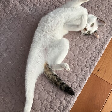 きょうこの写真