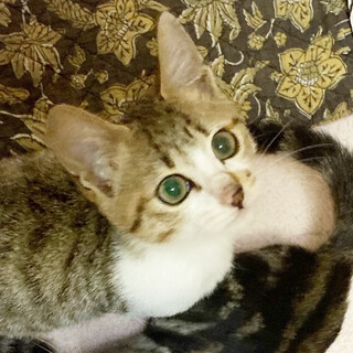 アイラインくっきりイケメン！約2ヶ月