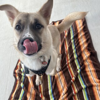 ちょっぴり怖がり、素直でまっすぐ純粋な男の子！