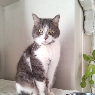 【1/14東銀座】トミーくん★3歳♪