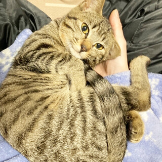 超コミュ力！顔も口元も可愛い姫約4ヶ月