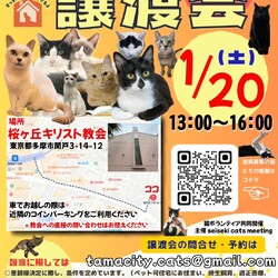 ◇保護猫の譲渡会◇in東京都多摩市聖蹟桜ヶ丘◇