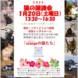 猫の譲渡会in大倉山『orangeの猫たち』