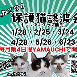 伊丹猫の譲渡会フリースペースYAMUTCHI