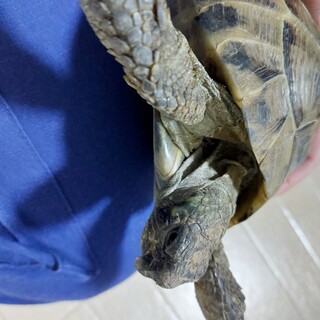 【募集を一時締め切らせてもらいます】