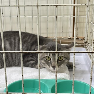 怖がりな男の子兄弟です