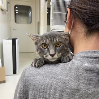 怖がりな男の子兄弟です