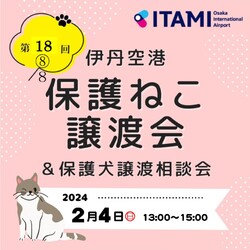 伊丹空港✈保護ねこ譲渡会