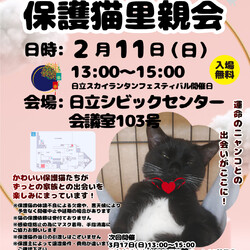ひたちまちにゃか保護猫里親会