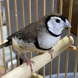 【ご家族が見つかりました。ありがとうございました】