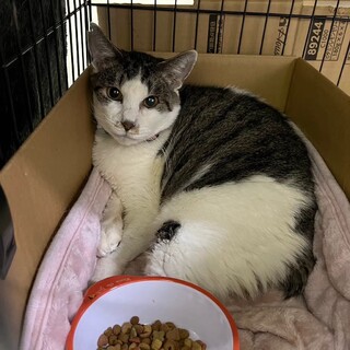 苦労したね、タマちゃん！