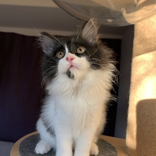 ふわふわ甘えん坊の女の子♡