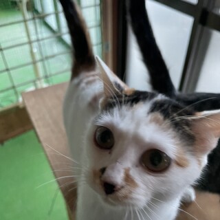 文句なしに性格が良い子です♡穏やかなユメちゃん