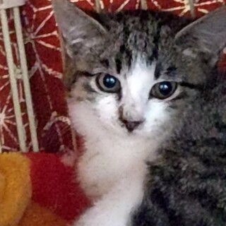 人馴れしています 可愛いタマちゃん