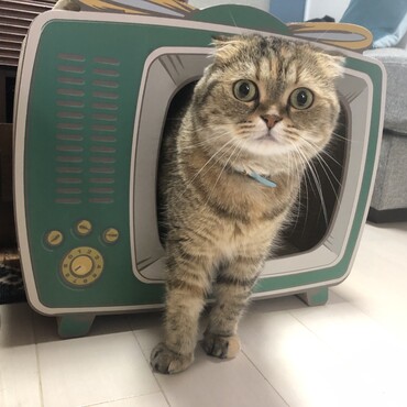 次女ビオレッタです！