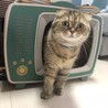 次女ビオレッタです！