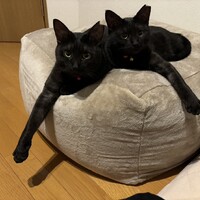 すー