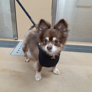 人懐こくて甘えん坊な男の子