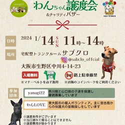 保護犬の譲渡会 サムネイル1