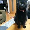  さん