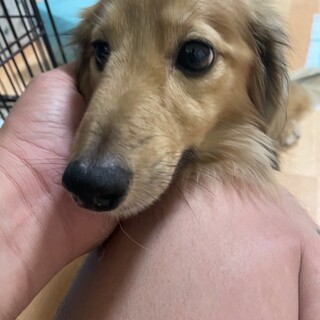 トライアル決定の為募集停止