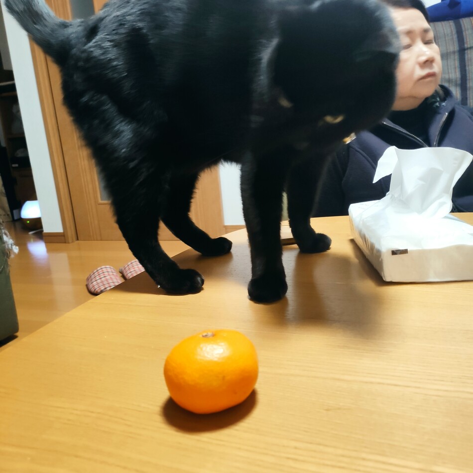 ごうのカバー写真