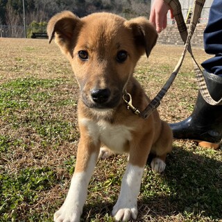 〜慣れたら遊んで欲しいヒソカ君