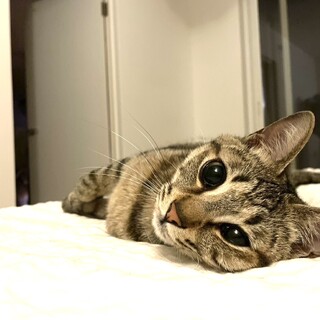 可愛いお目目の女の子つむぎちゃん