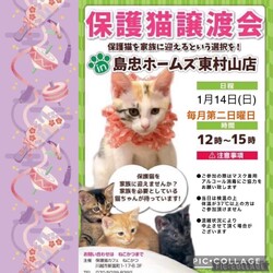 1月14日(日)島忠HOME'S東村山店譲渡会！