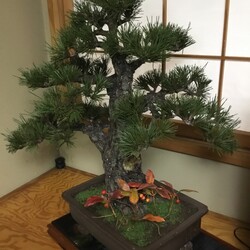 「ワンワンワン」サムネイル3