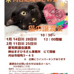 刈谷地域ねこの会　譲渡会