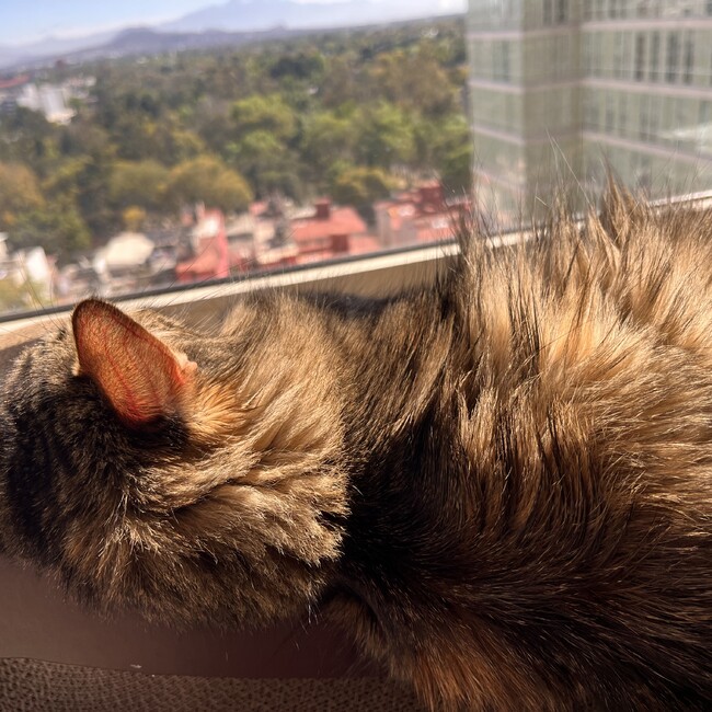 おそがとのカバー写真