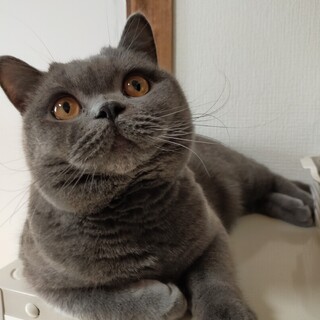 病気治療の為一旦募集停止