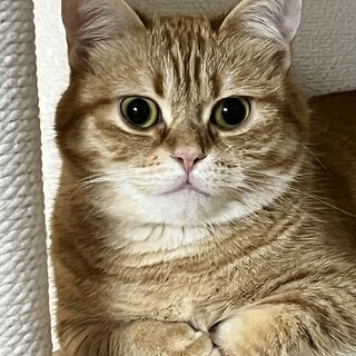 病気治療の為一旦募集停止