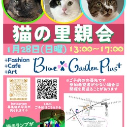 ★猫の里親会★in世田谷区 下高井戸駅