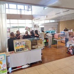 【福岡/大刀洗町】保護猫のマッチングスペースDreams