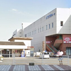 保護猫の里親会＠南足柄 サムネイル2