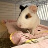 みーたん サムネイル3