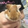 ふく サムネイル2