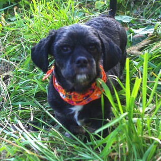 人が大好きな可愛い子