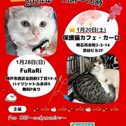 2024年明石譲渡会☆第142回ハピニャンwithカーロ