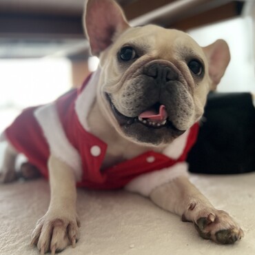 サンタ衣装＾＾