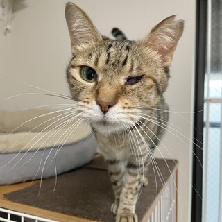 人が好きで穏やかな女の子6歳