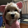 かおリン☆