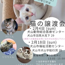猫の譲渡会 @犬山市動物総合医療センター